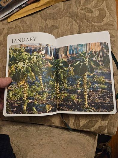 The Royal Horticultural Society Journal.  By Mitchell Beazley. Beautiful Illustrated Hardback Journal Of Month By Month Managment Of Your Allotment.  In Good Condition.  See Photos For Same.
