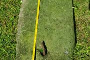 Antique agricultural drill stone.