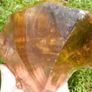 Natural Golden Andara Crystal 5,103 kg Image 3
