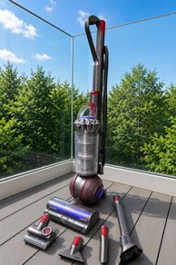 DYSON ball animal