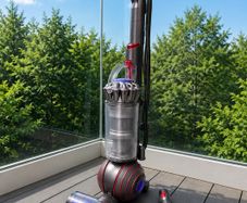 DYSON ball animal