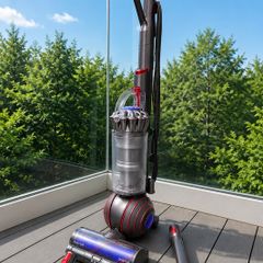 DYSON ball animal