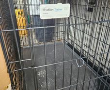 Large dog crate