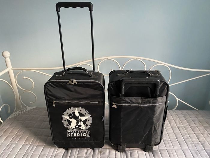 Disney Hand luggage