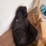 bean bag Image 3