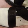 ugg boots size 3 Image 2