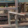 Farming Gates Image 6