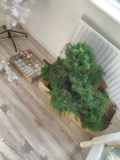 Christmas decorations and two trees