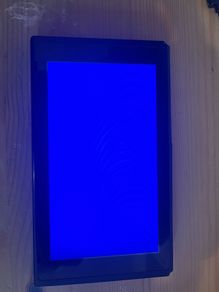 Nintendo switch console (stuck on blue screen)