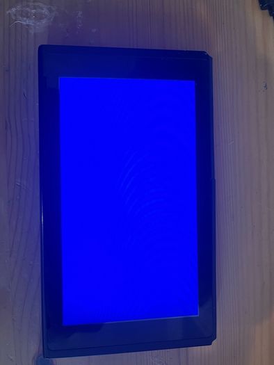 Nintendo switch console (stuck on blue screen)