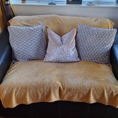 Free sofa