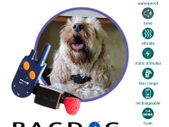 Small Dog Training System (1km Range) | PACDOG