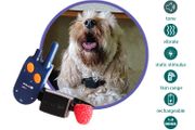 Small Dog Training System (1km Range) | PACDOG