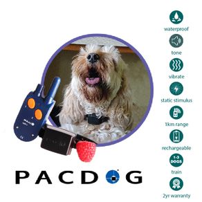 Small Dog Training System (1km Range) | PACDOG