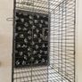 Dog Crate Image 4