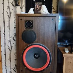 cerwin vega a324