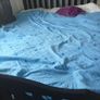 bed Image 3
