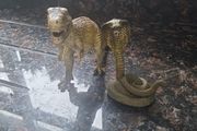 Animals