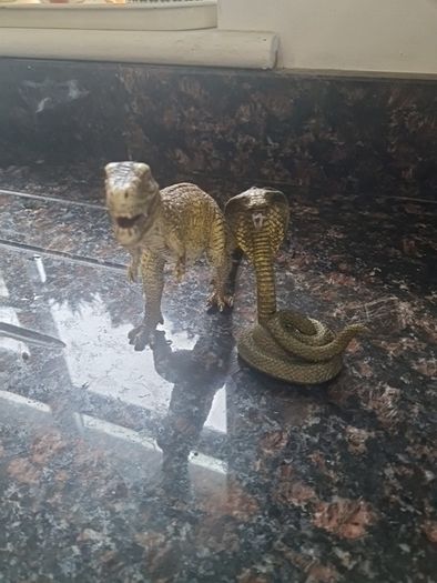 Animals