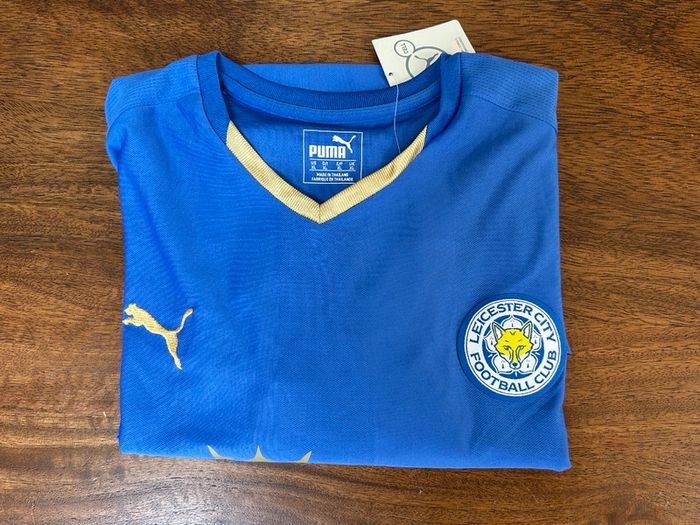 Leicester City Jersey 2015/16