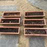 Window Boxes with Trays Image 3