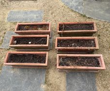 6 x Window Boxes with Trays