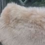 Aideen Bodkin faux fur wrap with tags (free postage) Image 5