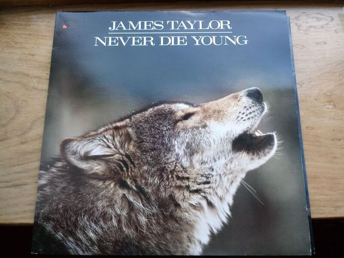 James Taylor 12in Vinyl