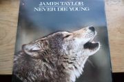 James Taylor 12in Vinyl