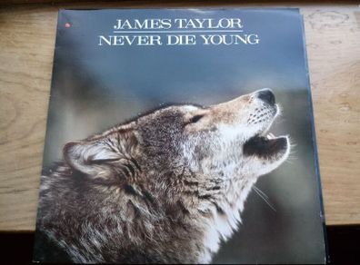 James Taylor 12in Vinyl