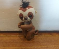 Fingerling  (baby monkey)