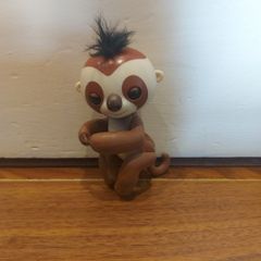 Fingerling  (baby monkey)