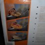 pizza oven Image 10