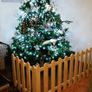 Christmas tree surrounds Image 6