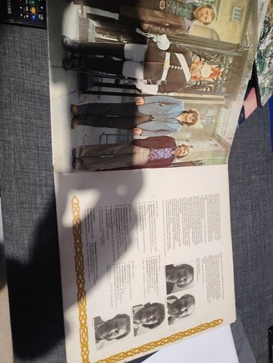 vinyl wolfe tones