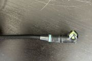 Akg C544