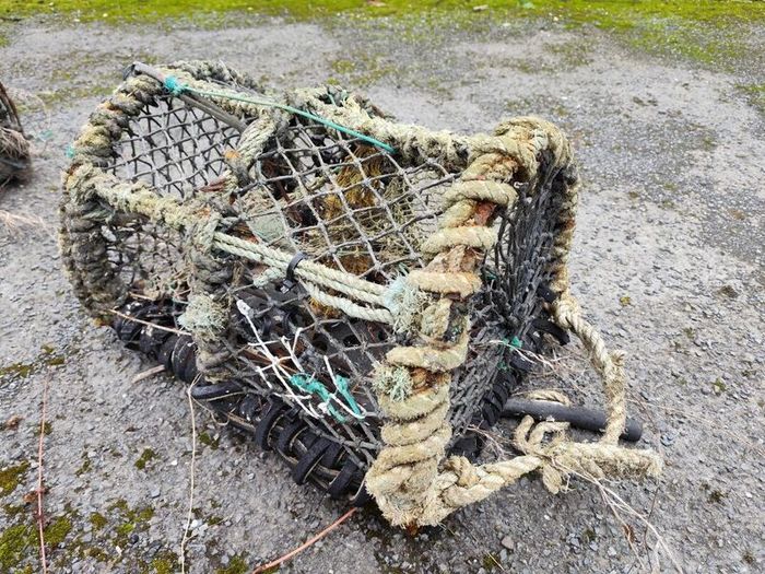 Lobster Pots. 65 or so, as a job lot.