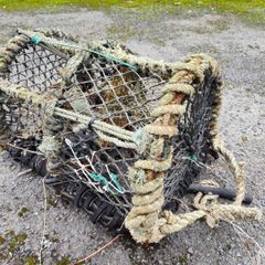 Lobster Pots. 65 or so, as a job lot.
