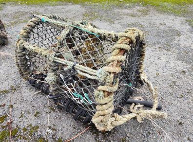 Lobster Pots. 65 or so, as a job lot.