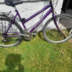 antiques/vixen Raleigh original