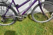 antiques/ vixen Raleigh original
