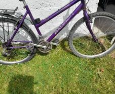 antiques/ vixen Raleigh original