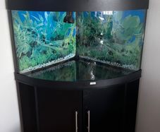 Jewel fish tank 190l