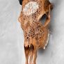 harley skull Image 6