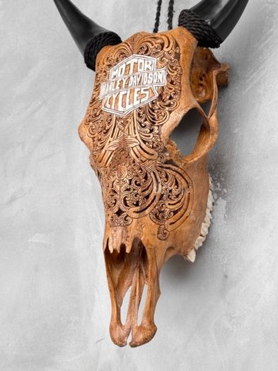 harley skull