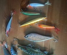 Fishing lures pike perch