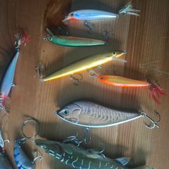 Fishing lures pike perch