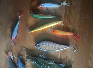 Fishing lures pike perch