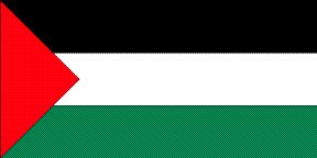 25x Large Palestine flags 5 x 3 foot