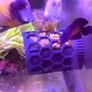 Floating Nori Reel Feeder Magnetic Mount & Suction Cup Options Image 3
